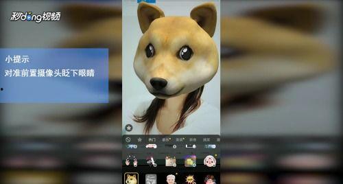 吃瓜保护狗头游戏,趣味游戏中的爱心传递