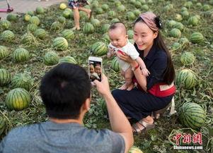 南平吃瓜群众图片真实,一图看尽人间百态