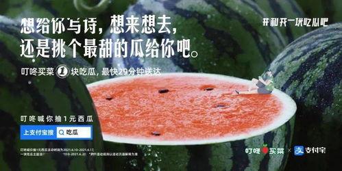 户外吃瓜文案怎么写,共享瓜果时光