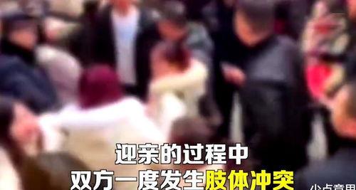 新人爆料超惨踩雷视频大全,新人爆料视频大全深度解析