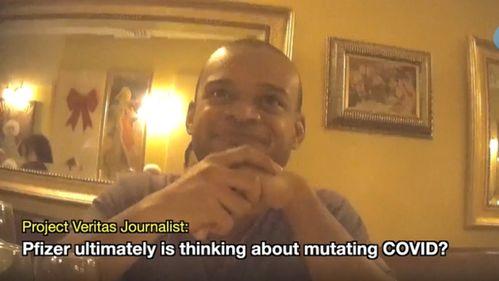 欧洲议员爆料事件视频播放,揭秘幕后的惊人真相