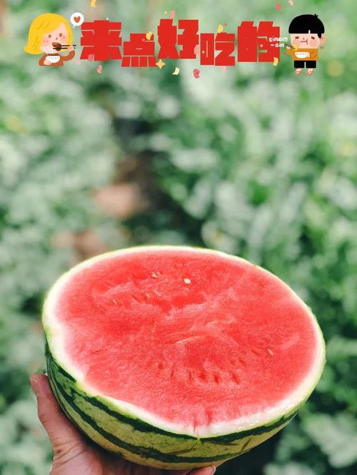 南昌地产吃瓜事件,揭秘背后真相与行业风波