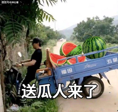 晚上聊天吃瓜文案