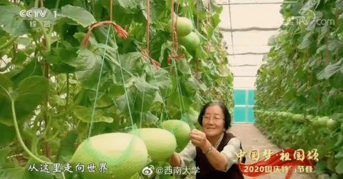 李晴吃瓜,揭秘娱乐圈幕后故事