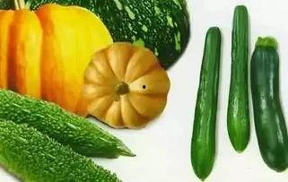 吃瓜一剪梅,揭秘娱乐圈的甜蜜与苦涩