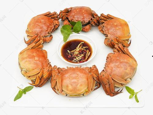 螃蟹看料台,揭秘海洋生物的觅食智慧