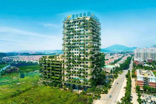 高州天悦湾最新消息爆料,揭秘项目进展与亮点揭晓