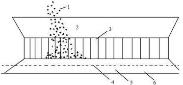 如何看料台投喂,科学饲养的艺术与技巧