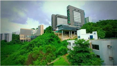 港中文吃瓜,吃瓜群众揭秘校园热点事件