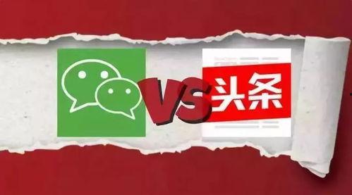 今日头条软件安全中心,守护网络安全，共筑清朗空间