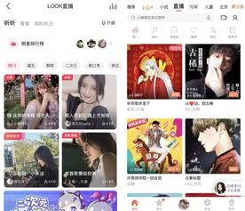 如何在头条直播中打字幕,轻松实现实时字幕显示