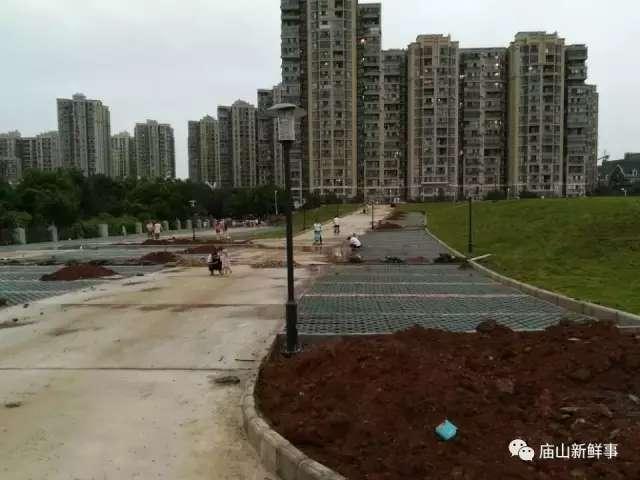 武汉汤逊湖最新爆料