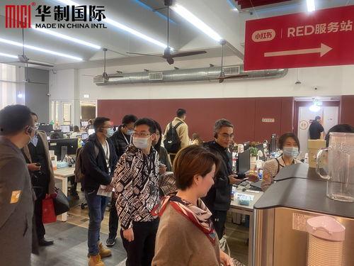 网红公司销售区域,区域布局与市场拓展策略深度解析