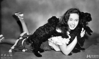 外国明星叫安,中外明星的异域风采