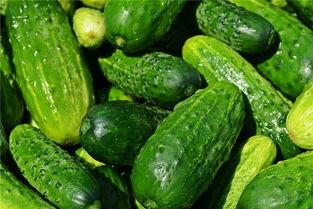 梦见吃煮的小瓜,煮瓜飘香，揭秘潜意识中的美食诱惑